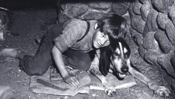 Backdrop to the movie "A Boy and His Dog" #1810848