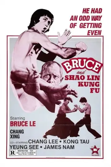 Poster to the movie "Bruce and Shaolin Kung Fu" #1580205