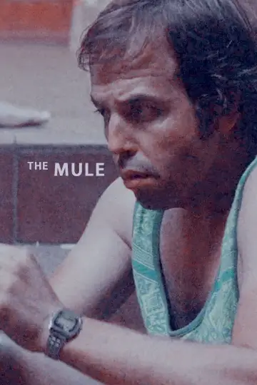 Poster to the movie "The Mule" #1037495