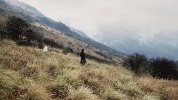 Backdrop to the movie "The Assassin" #1633095