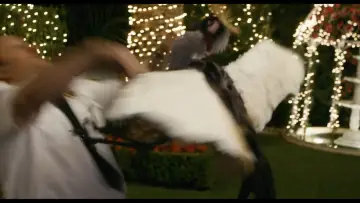 Backdrop to the movie "Paul Blart: Mall Cop 2" #888734