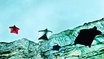 Backdrop to the movie "Point Break" #677534