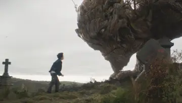 Backdrop to the movie "A Monster Calls" #1828283