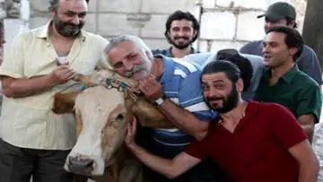 The Exiled Cow Poster