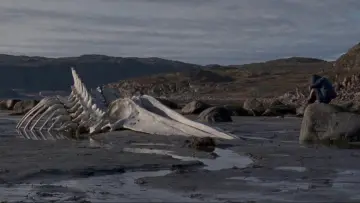 Backdrop to the movie "Leviathan" #1747890