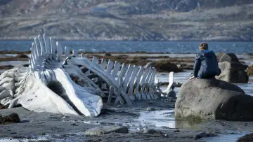 Backdrop to the movie "Leviathan" #987800