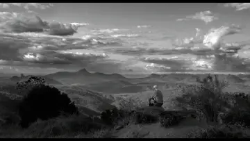 Backdrop to the movie "The Salt of the Earth" #1084328