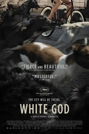 Poster to the movie "White God" #997360