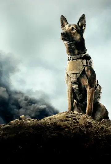 Poster to the movie "Max" #887824