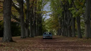 Backdrop to the movie "It Follows" #1529623