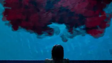 Backdrop to the movie "It Follows" #592682