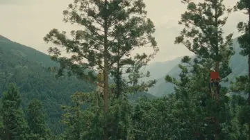 Backdrop to the movie "Wood Job!" #1123511