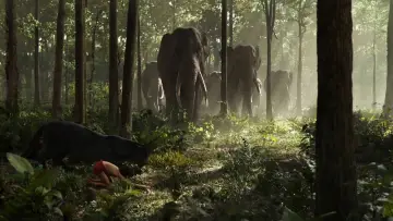Backdrop to the movie "The Jungle Book" #604627
