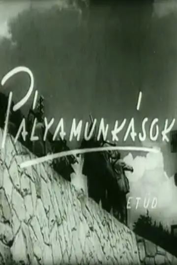 The Platelayer Poster