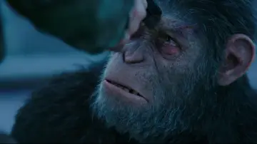 Backdrop to the movie "War for the Planet of the Apes" #585936