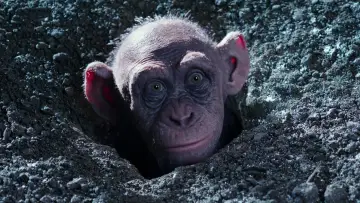 Backdrop to the movie "War for the Planet of the Apes" #585970