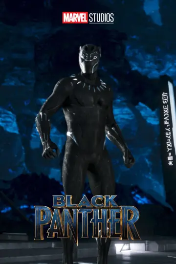 Poster to the movie "Black Panther" #1825687
