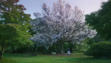 Backdrop to the movie "The Handmaiden" #175384