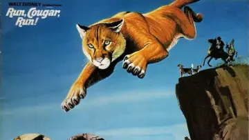 Backdrop to the movie "Run, Cougar, Run" #1042835