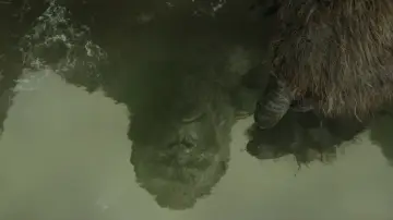 Backdrop to the movie "Kong: Skull Island" #591698