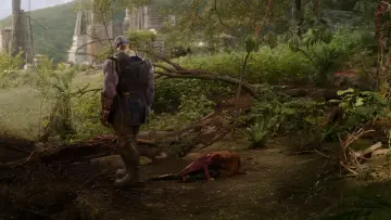 Backdrop to the movie "Avengers: Infinity War" #958608