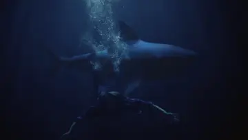 Backdrop to the movie "Shark Lake" #899991