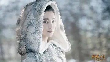 Backdrop to the movie "Zhongkui: Snow Girl and the Dark Crystal" #1886237
