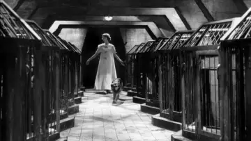 Backdrop to the movie "Eyes Without a Face" #985836