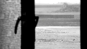 Backdrop to the movie "Satantango" #1011122