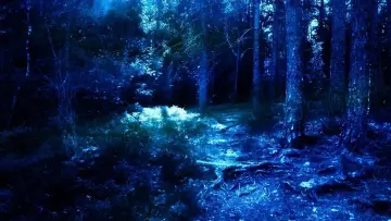 Backdrop to the movie "The Devils" #1582888