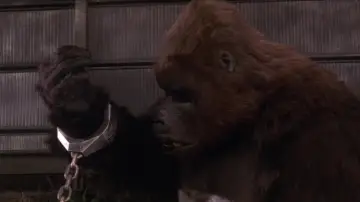 Backdrop to the movie "King Kong Lives" #972633