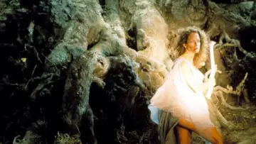 Backdrop to the movie "The Guardian" #462255