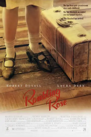 Poster to the movie "Rambling Rose" #1115396