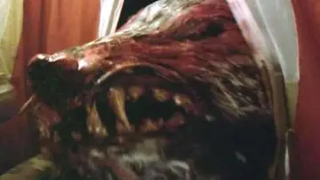 Backdrop to the movie "The Marsupials: The Howling III" #1653175