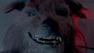 Backdrop to the movie "The Marsupials: The Howling III" #1653181