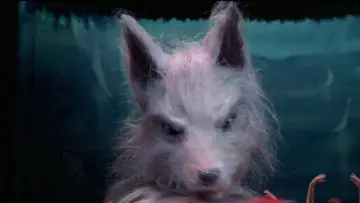 Backdrop to the movie "The Marsupials: The Howling III" #1653186
