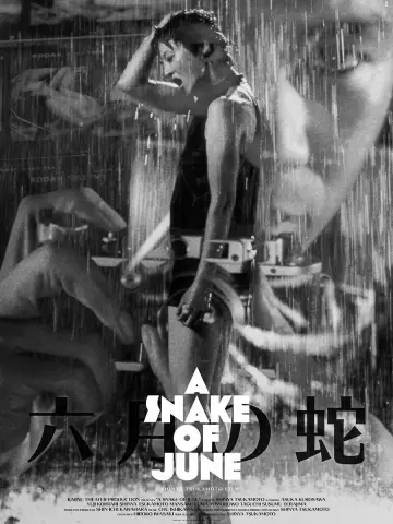Poster to the movie "A Snake of June" #1186688