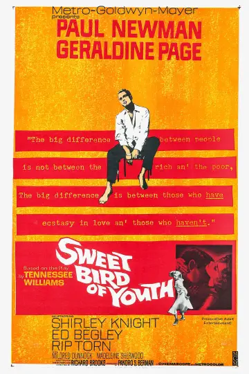 Poster to the movie "Sweet Bird of Youth" #1068000