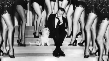 Backdrop to the movie "Pal Joey" #1125524