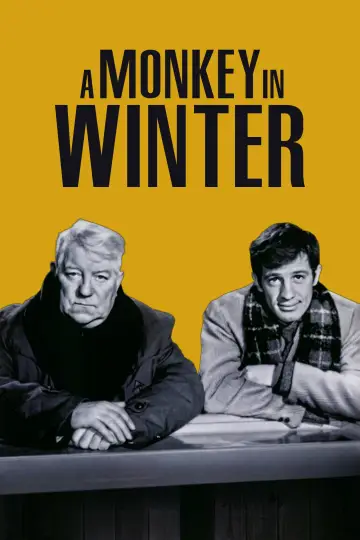 A Monkey in Winter Poster