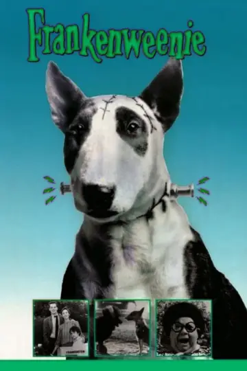 Poster to the movie "Frankenweenie" #743657