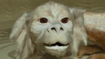 Backdrop to the movie "The NeverEnding Story" #1578471