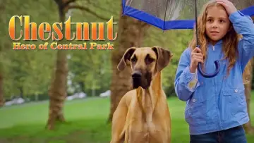 Backdrop to the movie "Chestnut: Hero of Central Park" #1003895