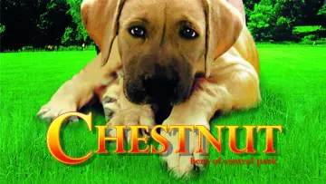 Backdrop to the movie "Chestnut: Hero of Central Park" #1003897