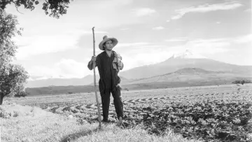 Backdrop to the movie "Nazarín" #459705