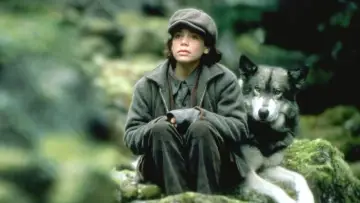 Backdrop to the movie "The Journey of Natty Gann" #437066