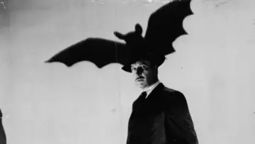 Backdrop to the movie "The Bat" #1103147
