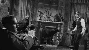 Backdrop to the movie "Compulsion" #1038005