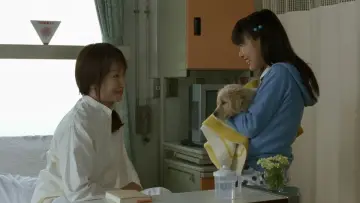 Backdrop to the movie "10 Promises to My Dog" #1910264