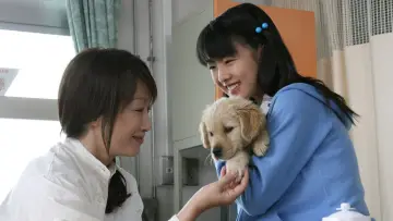 Backdrop to the movie "10 Promises to My Dog" #1910266